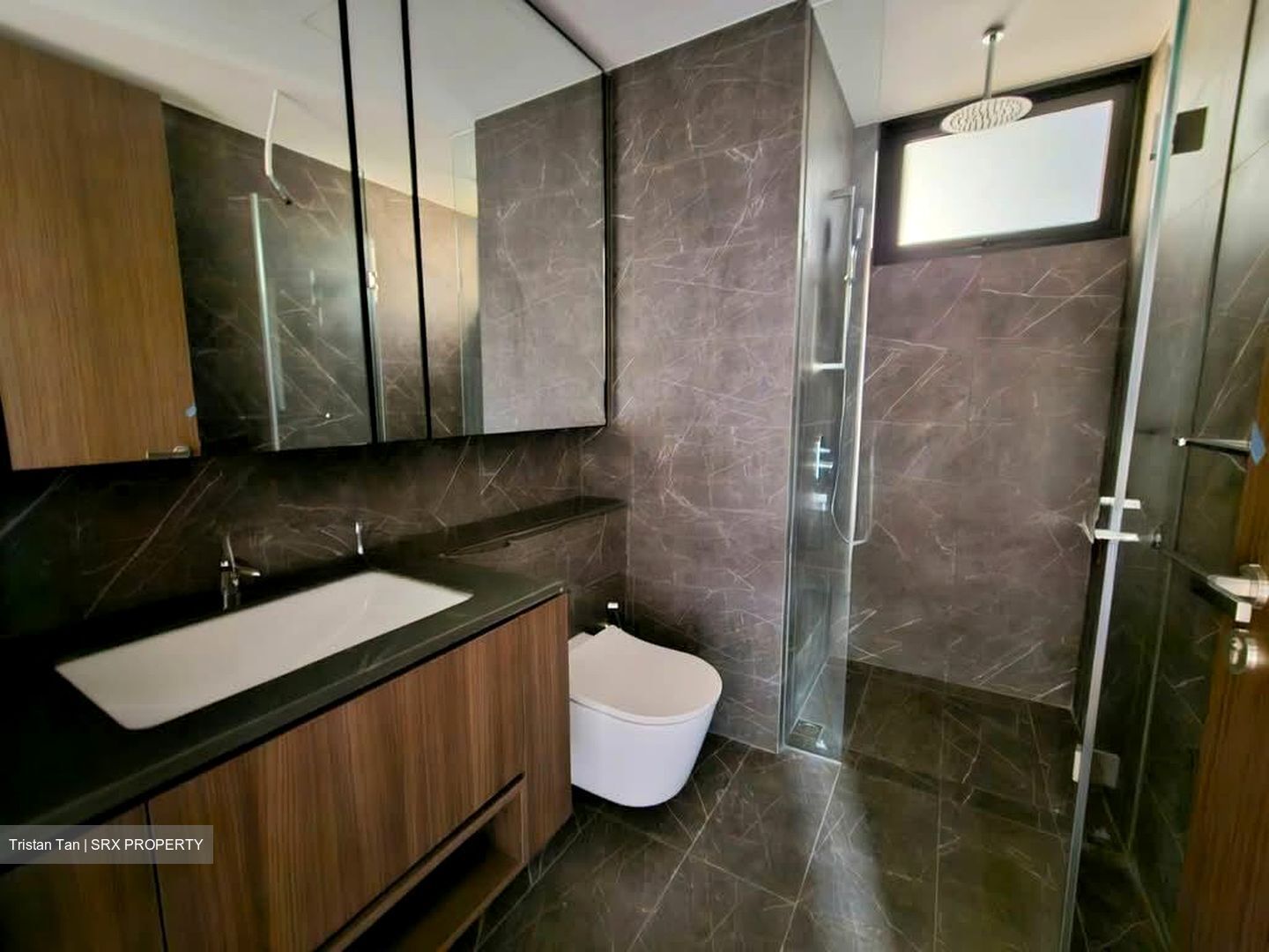 Kopar At Newton (D9), Apartment #592803691